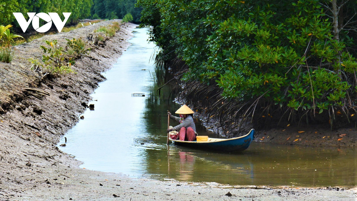 Đây là lí do mà “Tôm khô Rạch Gốc” - đặc sản khô ngon nhất đến từ vùng đất Cà Mau làm không đủ bán - Ảnh 1.