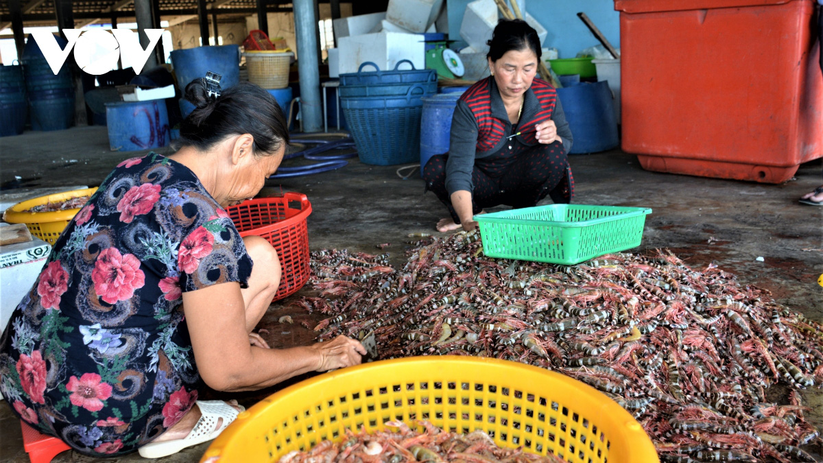 Đây là lí do mà “Tôm khô Rạch Gốc” - đặc sản khô ngon nhất đến từ vùng đất Cà Mau làm không đủ bán - Ảnh 7.