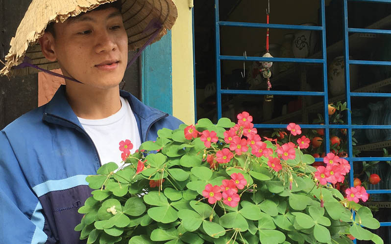 TT-Huế: Từ yêu hoa chua me đất quê nhà, &quot;anh trai mưa&quot; trồng 100 loài hoa lạ &quot;cùng họ khác tên&quot;