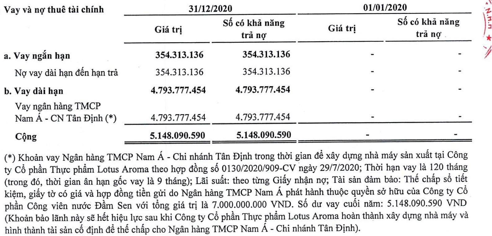 Nhờ đâu Công viên nước Đầm Sen vẫn trụ vững bất chấp Covid-19? - Ảnh 4.