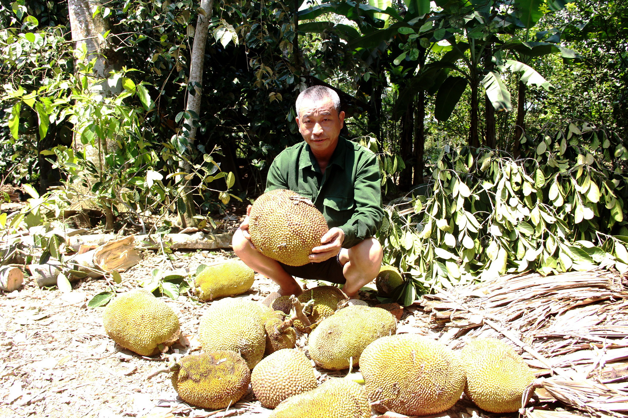 Hà Tĩnh: Lốc xoáy quét qua, hàng trăm ngôi nhà tốc mái, hoa màu hư hỏng nặng, thiệt hại hàng tỷ đồng - Ảnh 4.