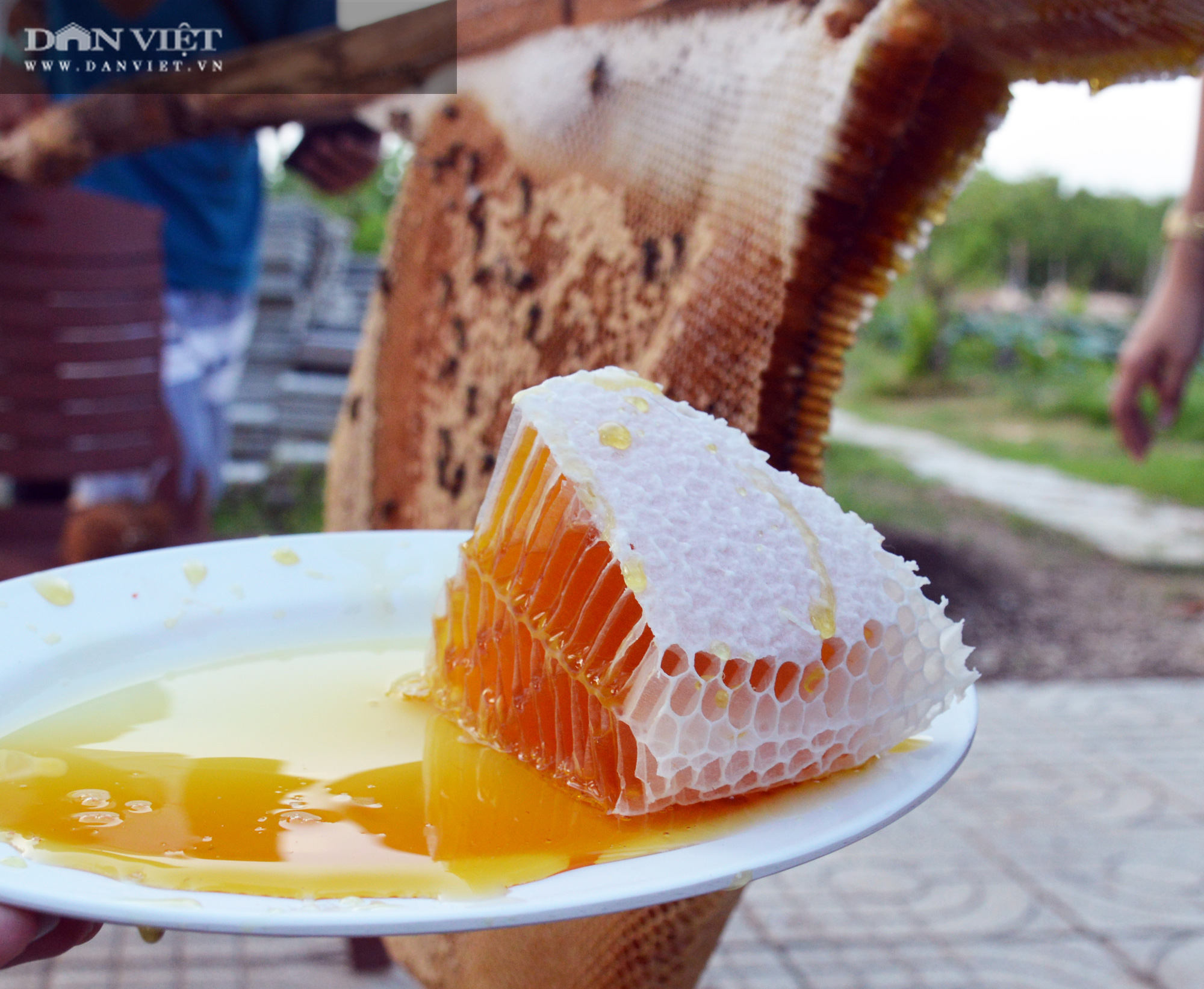Về U Minh Hạ, lội rừng ăn ong lấy mật, thưởng thức vô số đặc sản trứ danh - Ảnh 12.
