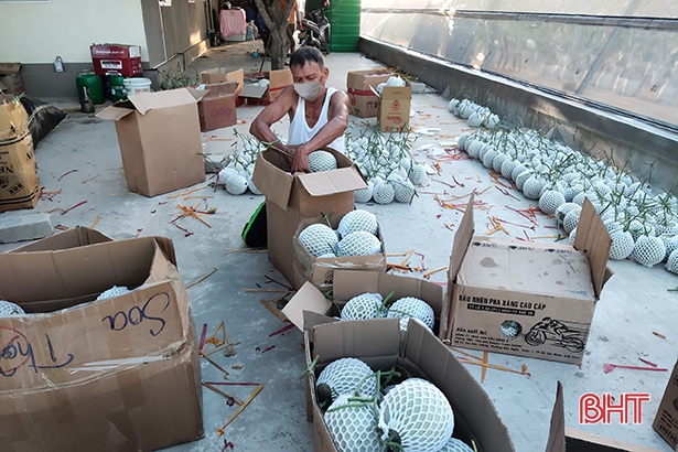 Dưa lưới của một nông dân ở Hà Tĩnh có gì ngon mà &quot;ngồi chễm trệ&quot; lên kệ siêu thị ở Hải Phòng - Ảnh 2.