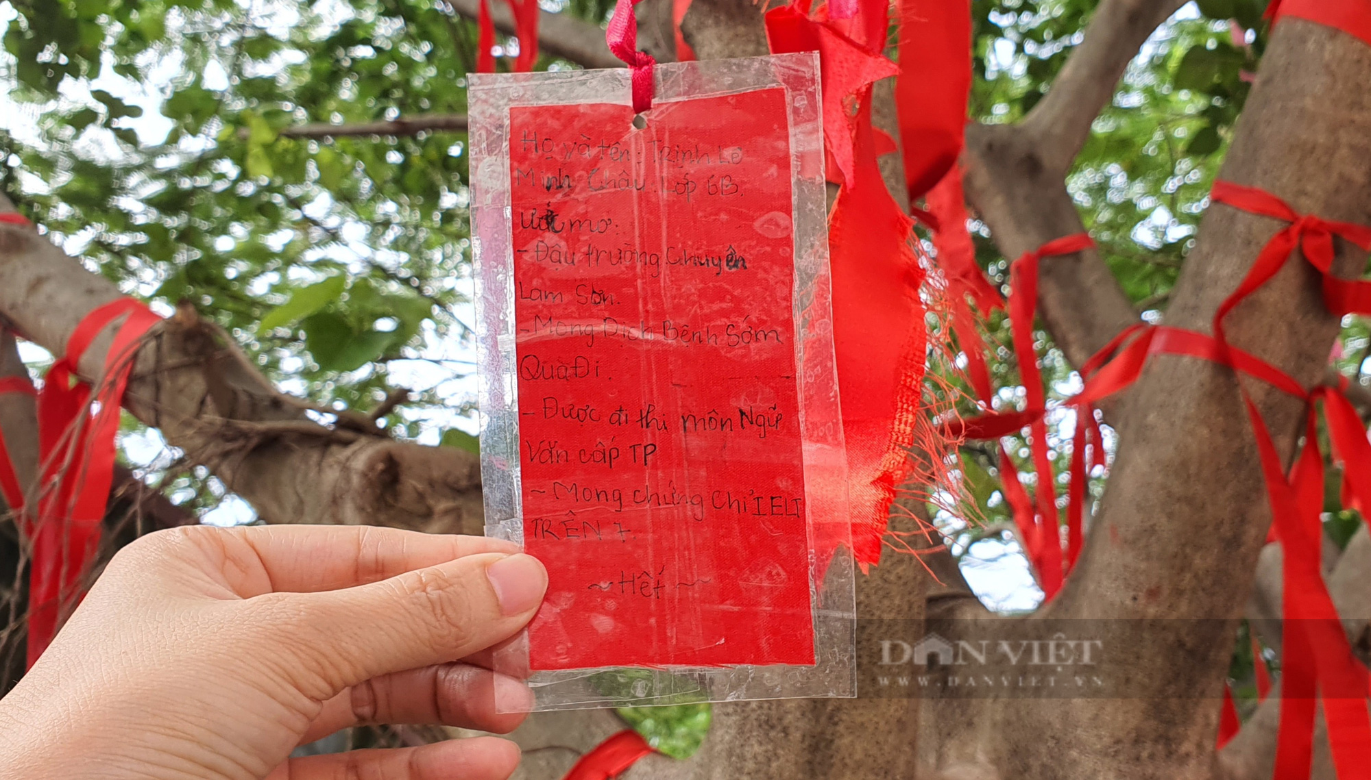 Độc đáo &quot;cây điều ước&quot; mang những thông điệp ý nghĩa của học sinh một trường THCS ở Thanh Hóa - Ảnh 2.