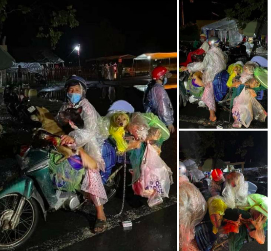 Vụ tiêu hủy 15 con chó: &quot;Lãnh đạo địa phương thiếu bản lĩnh&quot; - Ảnh 2.