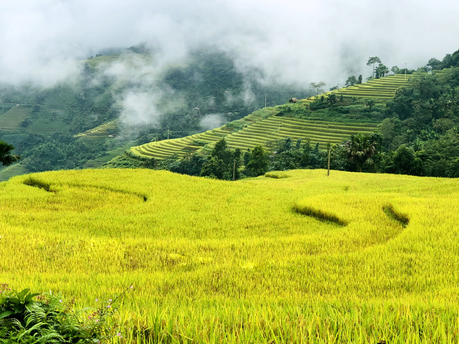 Hà Giang vào Thu đẹp hút hồn với mùa vàng trên những ruộng bậc thang - Ảnh 3.