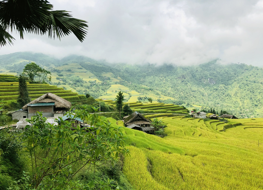 Hà Giang vào Thu đẹp hút hồn với mùa vàng trên những ruộng bậc thang - Ảnh 7.