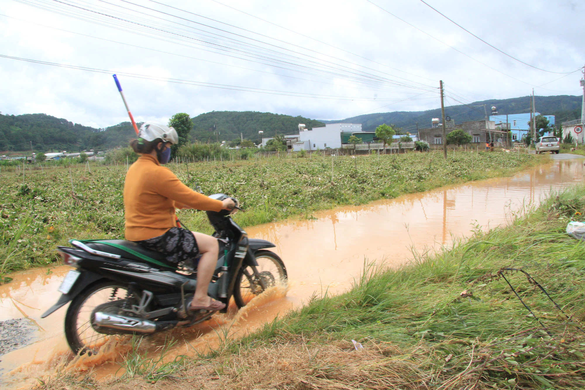 Chuyển đổi số trong nông nghiệp ở Lâm Đồng (bài 2):  Đa dạng các lĩnh vực ứng dụng - Ảnh 3.