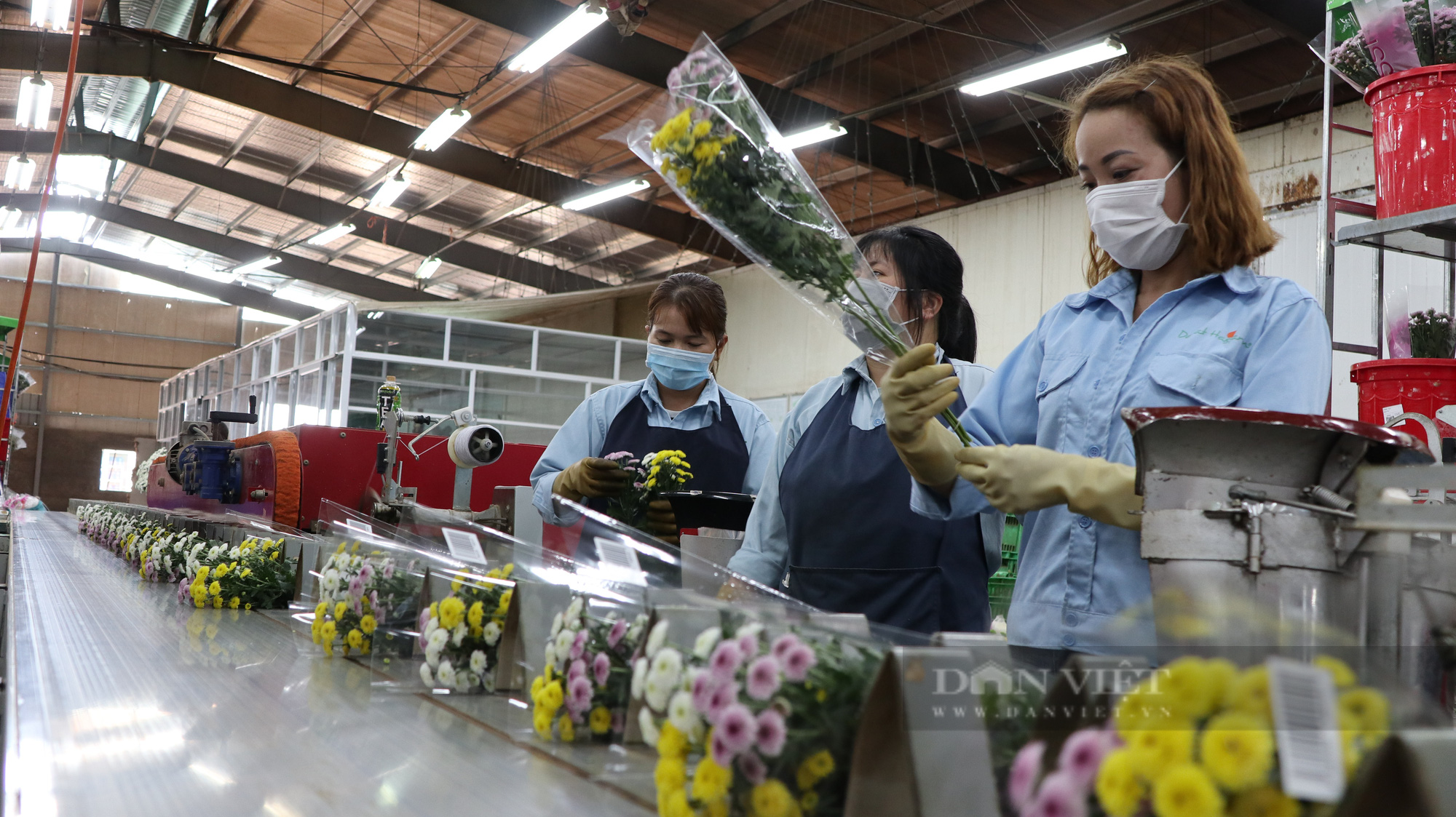 Chuyển đổi số trong nông nghiệp ở Lâm Đồng (bài 1): Nông dân, doanh nghiệp đều tham gia “cuộc chơi” công nghệ - Ảnh 4.