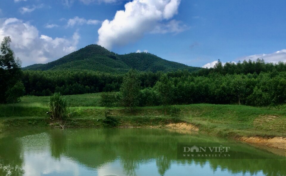 Người miền biển mê rừng và quyết định táo bạo trở thành “tỷ phú” - Ảnh 8.