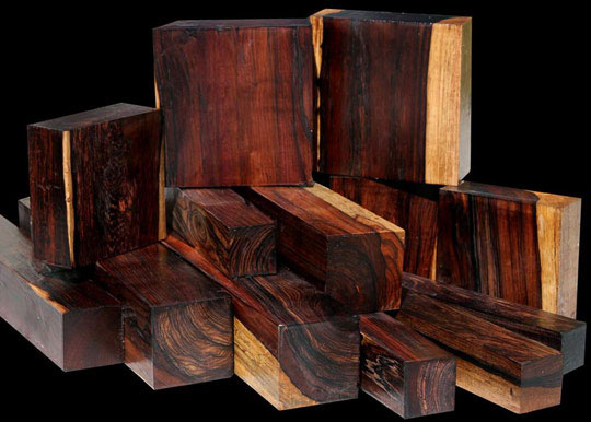 12 loại gỗ quý hiếm và đắt nhất trên thế giới: Gỗ sưa xếp thứ mấy? - Ảnh 6.