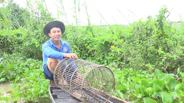 An Giang: Mùa nước nổi, hôm nào &quot;nước nhảy mạnh&quot; thì dân bà cậu bắt được nhiều cá - Ảnh 1.