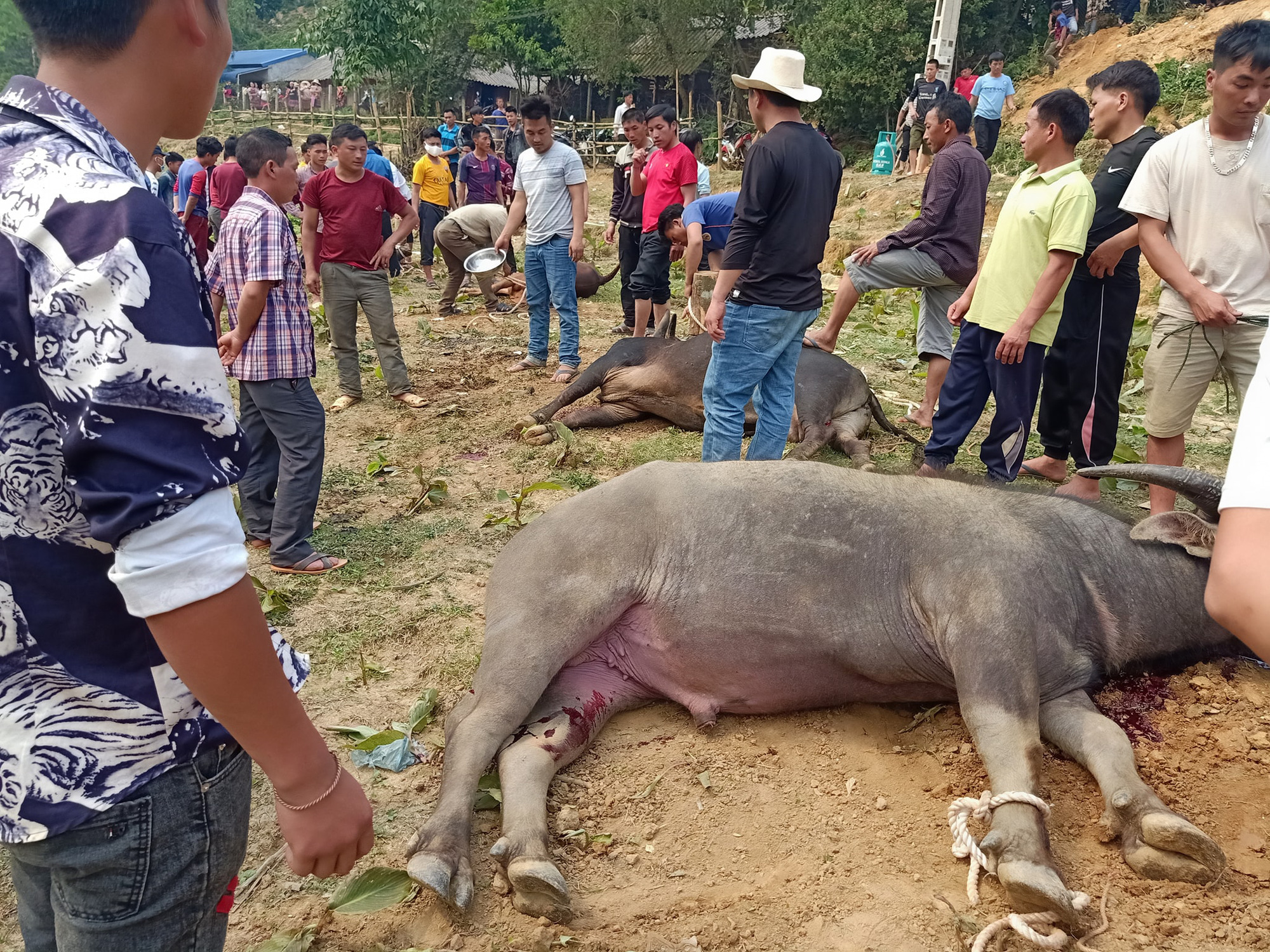 Cuộc cách mạng về phong tục người Mông ở Sơn La: Bài 1: Những ngày u ám vì hủ tục lạc hậu  - Ảnh 2.