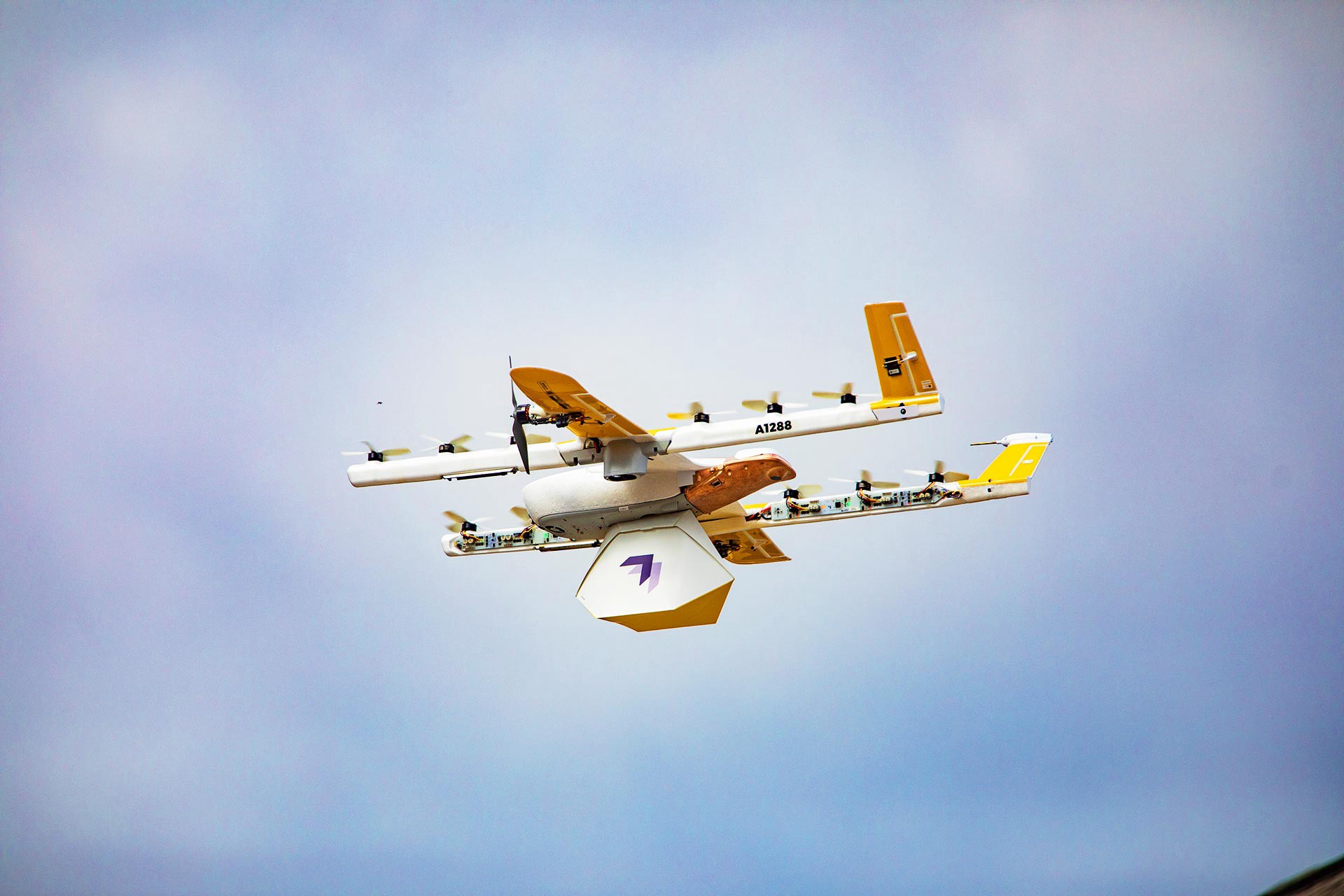 Công ty buộc phải ngừng dịch vụ giao hàng tận nhà qua drone vì quạ. Ảnh: @AFP.