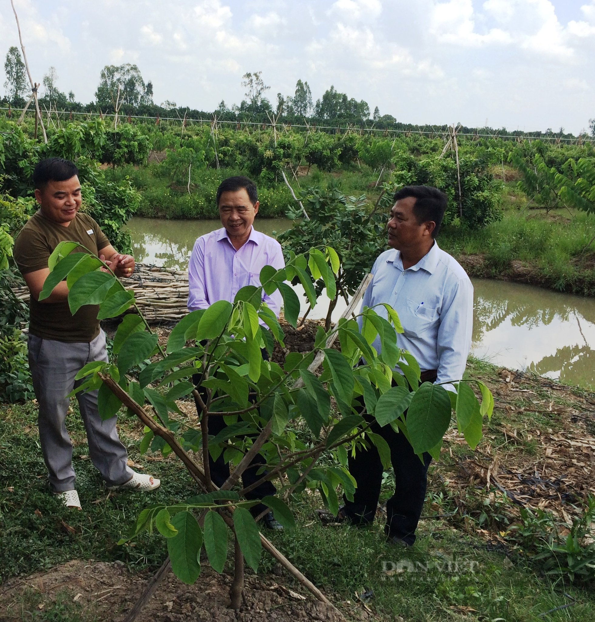 HND TP. Cần Thơ: Tập chung chăm lo đời sống hội viên sau đại dịch, phấn đấu cuối nhiệm kỳ hoàn thành 100% chỉ tiêu - Ảnh 2.