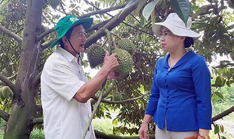 Phó Chủ tịch BCH Trung ương Hội NDVN Bùi Thị Thơm: Vận động, hỗ trợ nông dân phục hồi SXKD sau dịch bệnh - Ảnh 6.