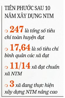 Xây dựng nông thôn mới ở Quảng Nam: Tiên Phước kỳ vọng ở sức bật liên kết sản xuất, OCOP - Ảnh 4.