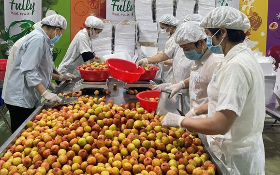 Giữa đại dịch Covid-19, xuất khẩu nông sản của Việt Nam vẫn tăng 18% 