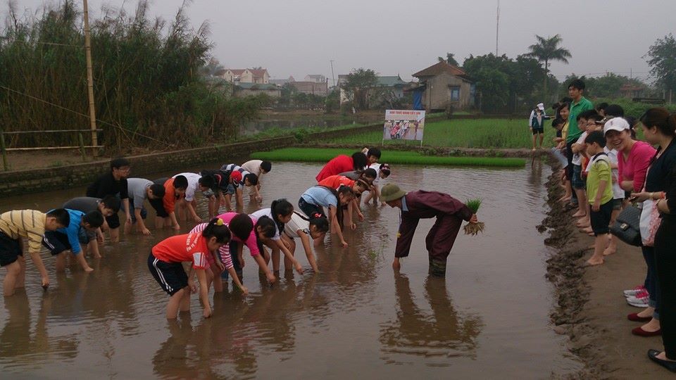 &quot;Làng du lịch&quot; giá rẻ xanh sạch đẹp như công viên ngay ngoại thành Hà Nội - Ảnh 7.