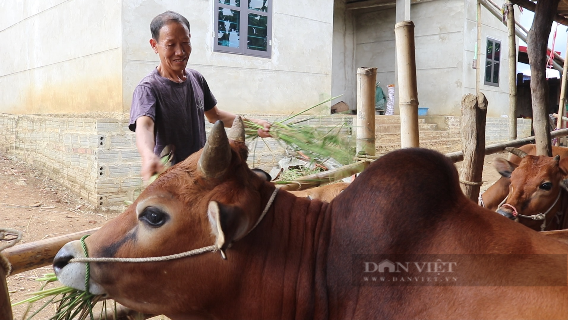 (Kỳ cuối): Ánh sáng trở lại với bản Mông Nong Mòn - Ảnh 3.