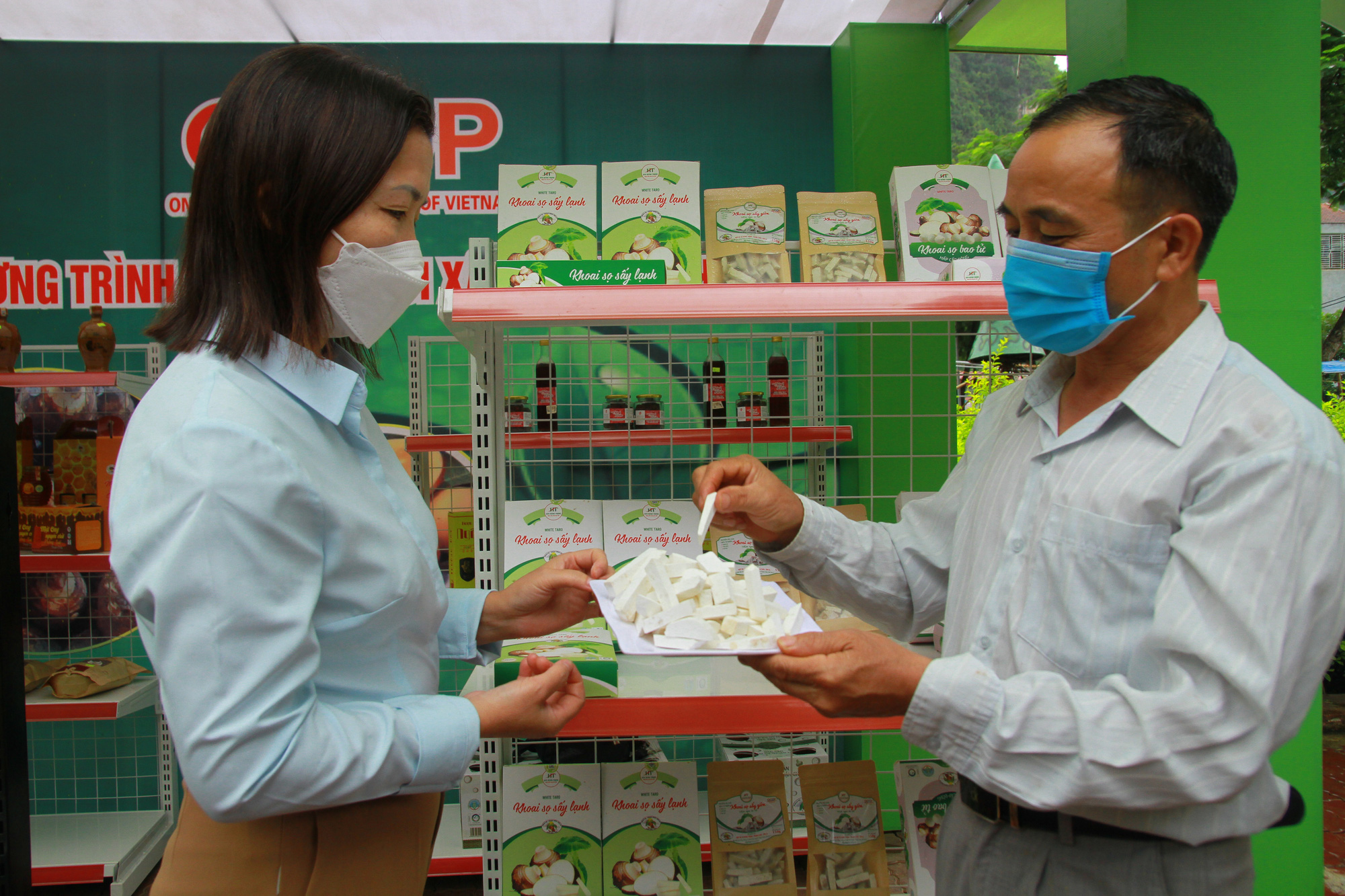 Nông thôn Tây Bắc: Phát triển thương hiệu khoai sọ Thuận Châu - Ảnh 3.