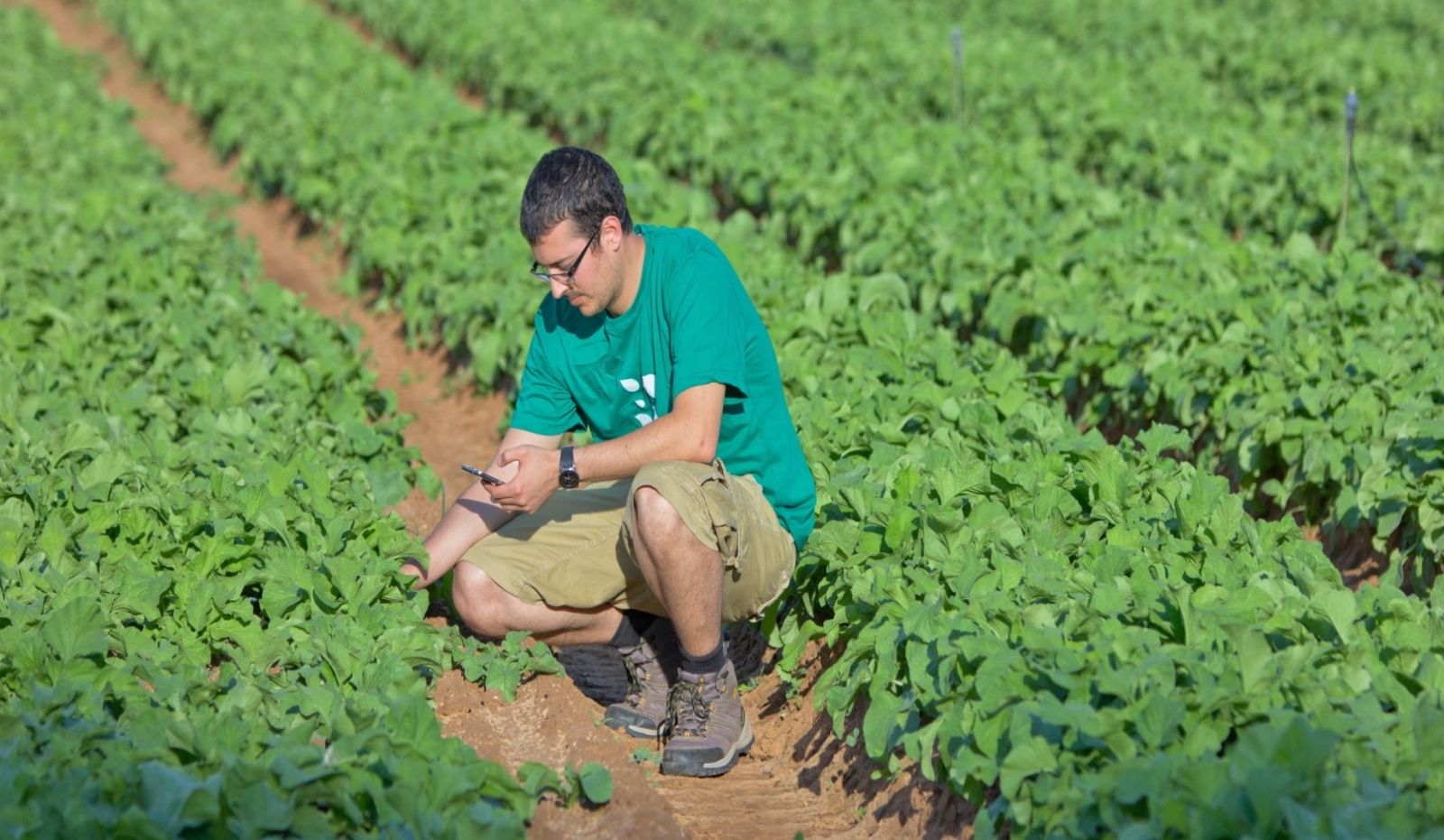 Lĩnh vực công nghệ nông nghiệp đang phát triển và rộng lớn của Israel. Ảnh: @AFP.