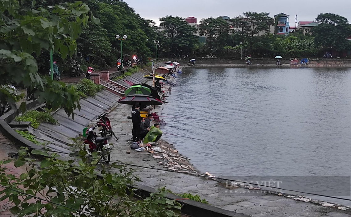 Hà Nội: Tiếp tục tái diễn cảnh người dân buông cần câu cá săn giải thưởng trăm triệu ở hồ Định Công - Ảnh 1.