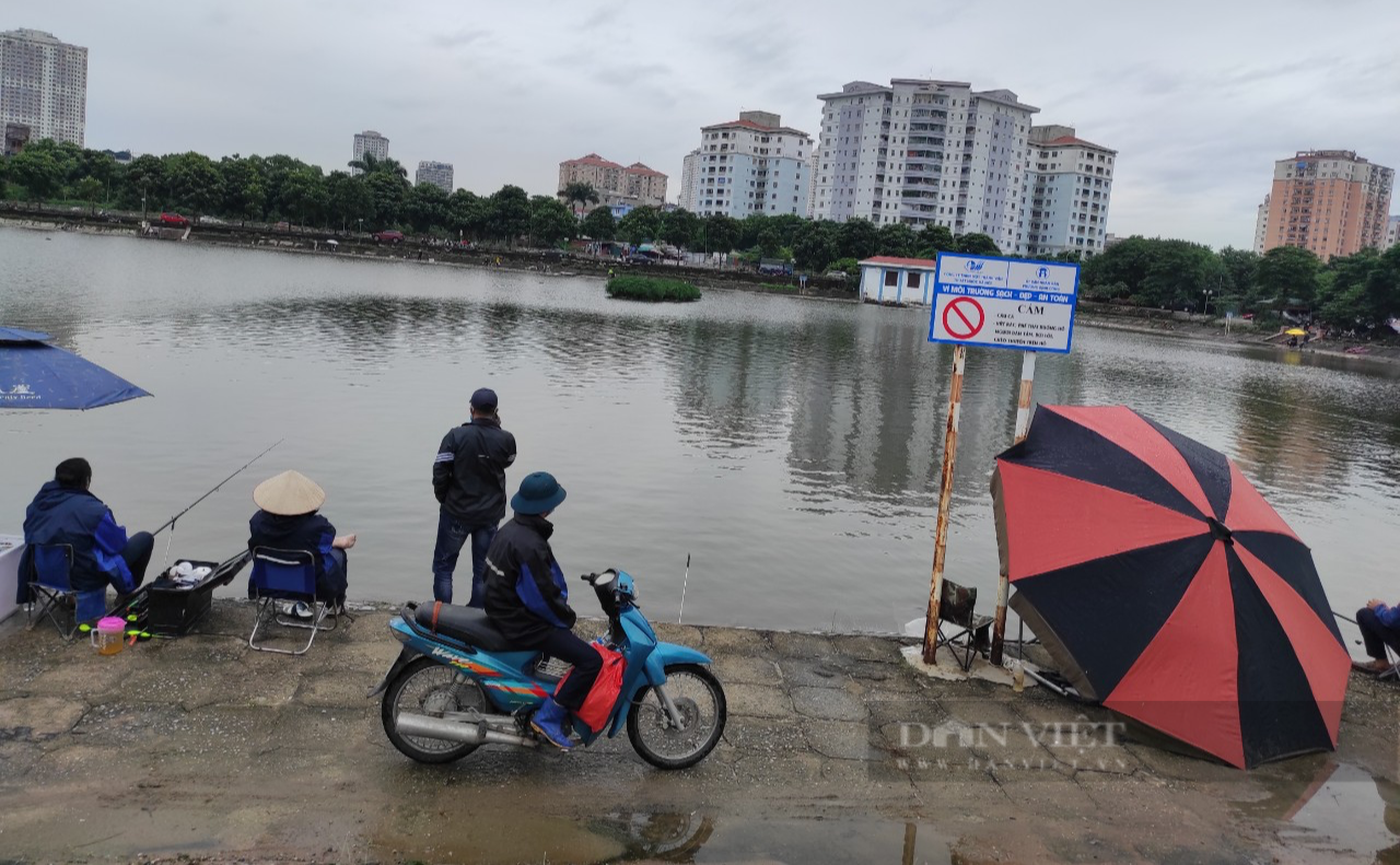 Hà Nội: Ngang Nhiên Tổ Chức Câu Cá Săn Thưởng Trăm Triệu Ở Hồ Định Công