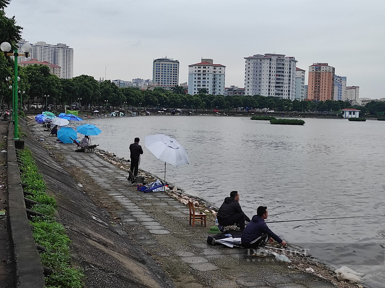 Hà Nội: Tiếp tục tái diễn cảnh người dân buông cần câu cá săn giải thưởng trăm triệu ở hồ Định Công - Ảnh 4.