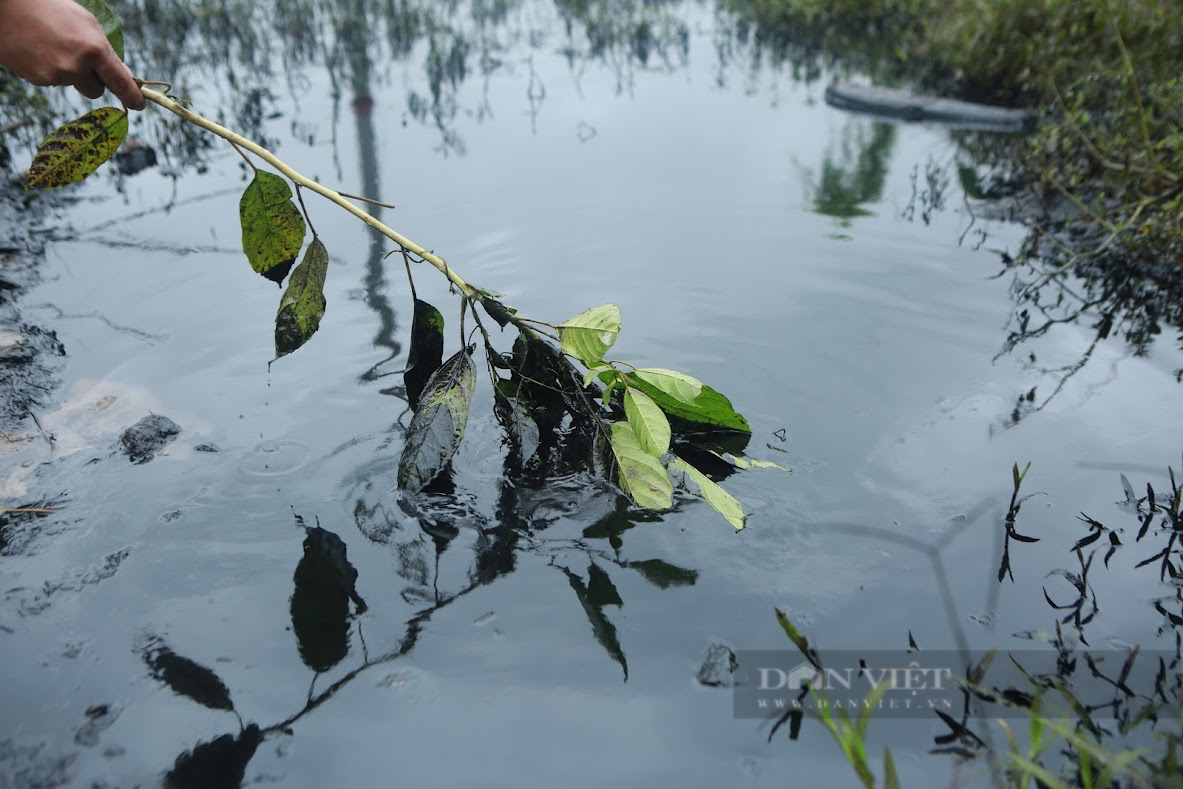 Công an vào cuộc vụ ruộng bị xả dầu đen kịt ở Hà Nội - Ảnh 4.