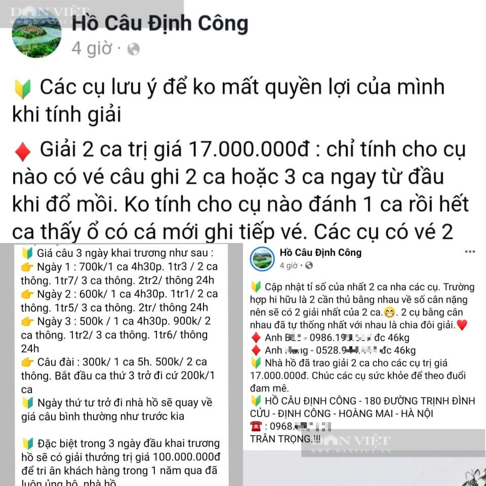 Hà Nội: Ngang nhiên tổ chức câu cá săn thưởng trăm triệu ở hồ Định Công - Ảnh 4.
