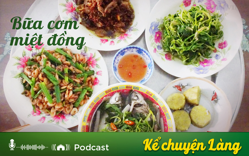  Kể chuyện podcast: Bữa cơm miệt đồng - Ảnh 1.