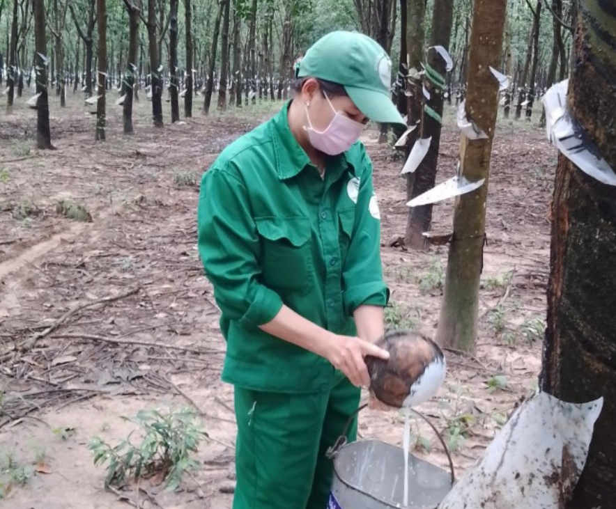 Mỹ bất ngờ tăng tốc thu mua sản phẩm được gọi là &quot;vàng trắng&quot; của Việt Nam, giá cũng cao ngất - Ảnh 1.