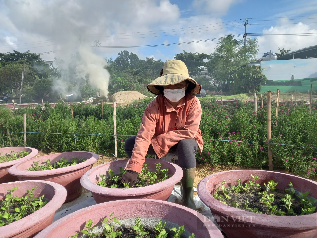 Nông dân Đà Nẵng hối hả xuống giống vụ hoa Tết - Ảnh 1.