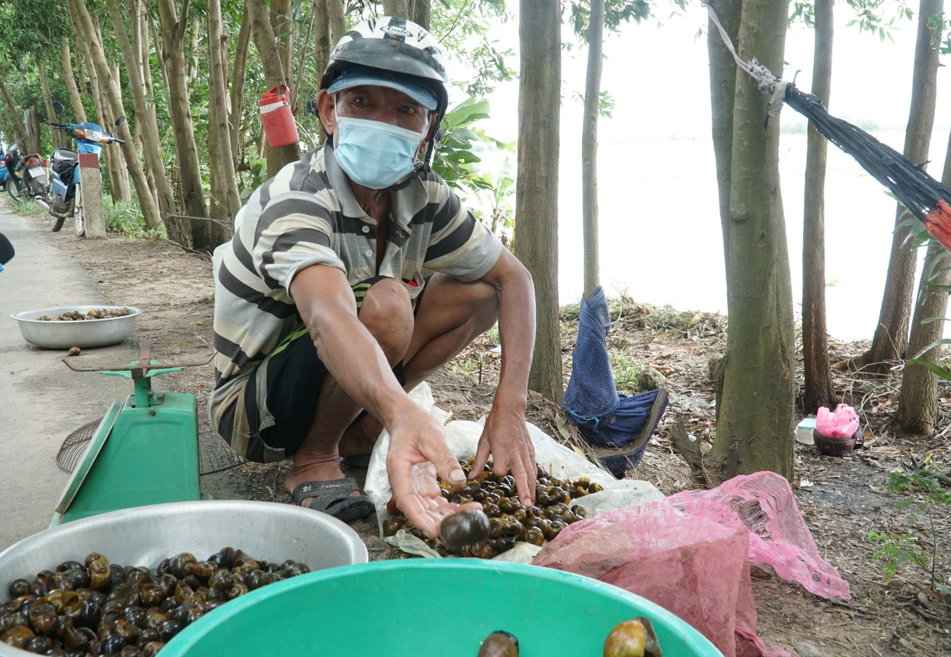 Mùa nước nổi ở Tây Ninh: Nông dân giăng lưới bắt cá đồng, cua đồng, hái rau đồng mưu sinh - Ảnh 8.