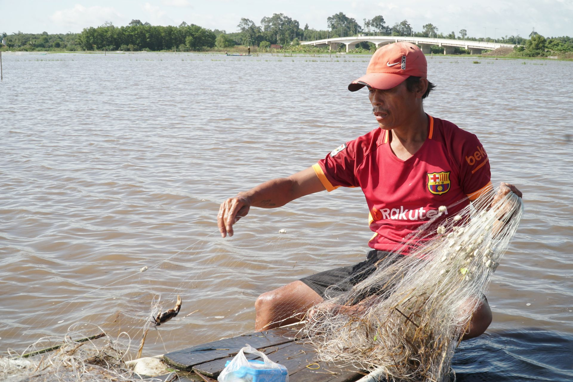 Mùa nước nổi ở Tây Ninh: Nông dân giăng lưới bắt cá đồng, cua đồng, hái rau đồng mưu sinh - Ảnh 1.