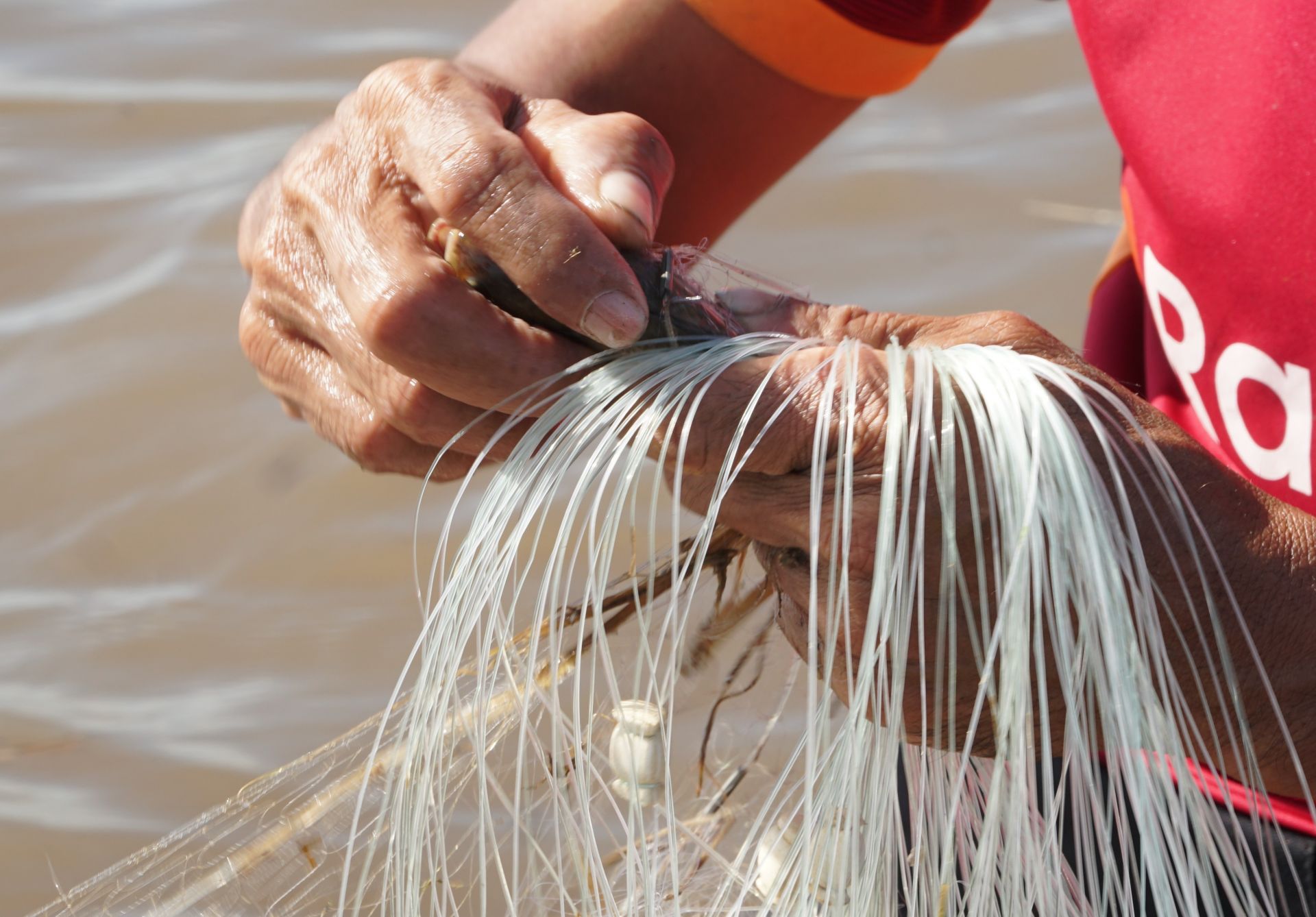 Mùa nước nổi ở Tây Ninh: Nông dân giăng lưới bắt cá đồng, cua đồng, hái rau đồng mưu sinh - Ảnh 2.