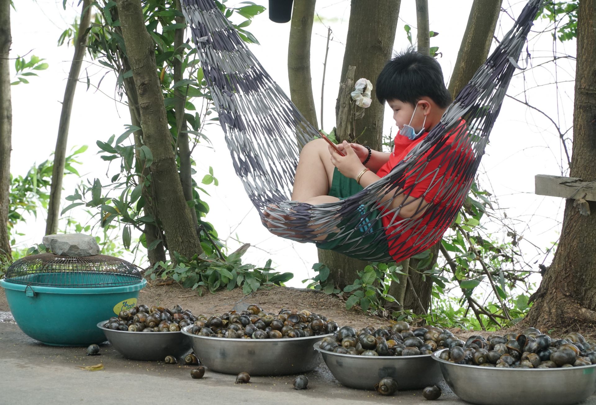 Mùa nước nổi ở Tây Ninh: Nông dân giăng lưới bắt cá đồng, cua đồng, hái rau đồng mưu sinh - Ảnh 6.