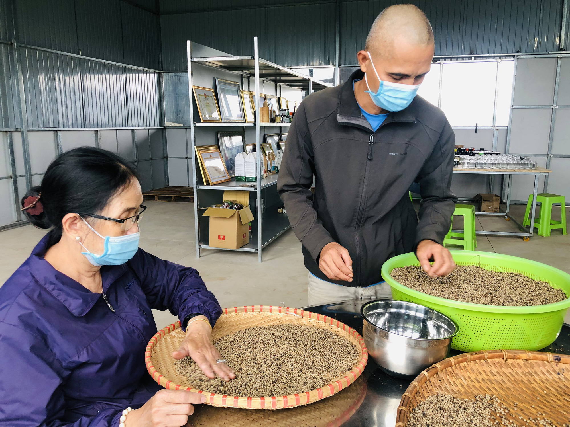 Giá tiêu hôm nay 18/10:  Nông dân cần lưu ý điều gì khi canh tác hồ tiêu trở lại? - Ảnh 5.