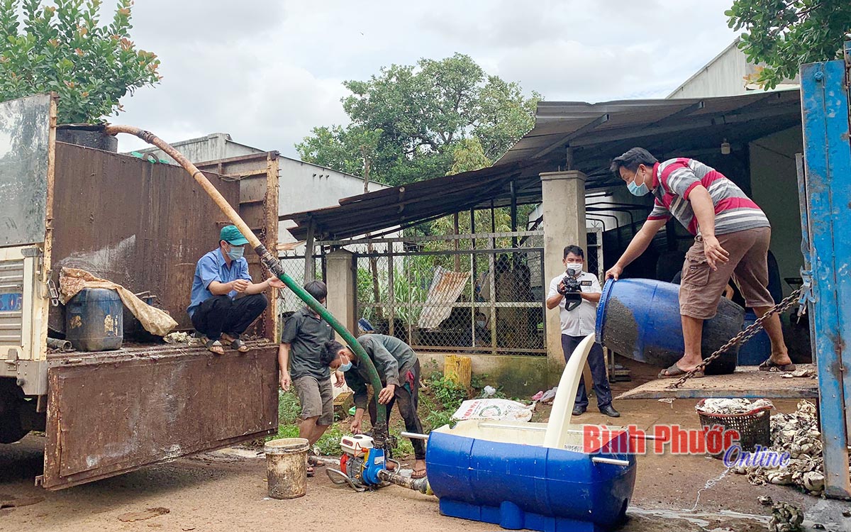 Bình Phước: Một ông nông dân sáng chế máy bơm mủ cao su khiến nhiều người trầm trồ - Ảnh 1.