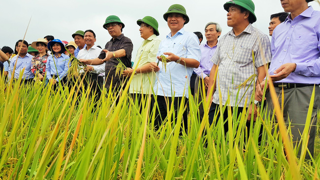 Quảng Trị: Chuyển đổi số &quot;đòn bẩy&quot; thúc đẩy nông nghiệp phát triển - Ảnh 1.