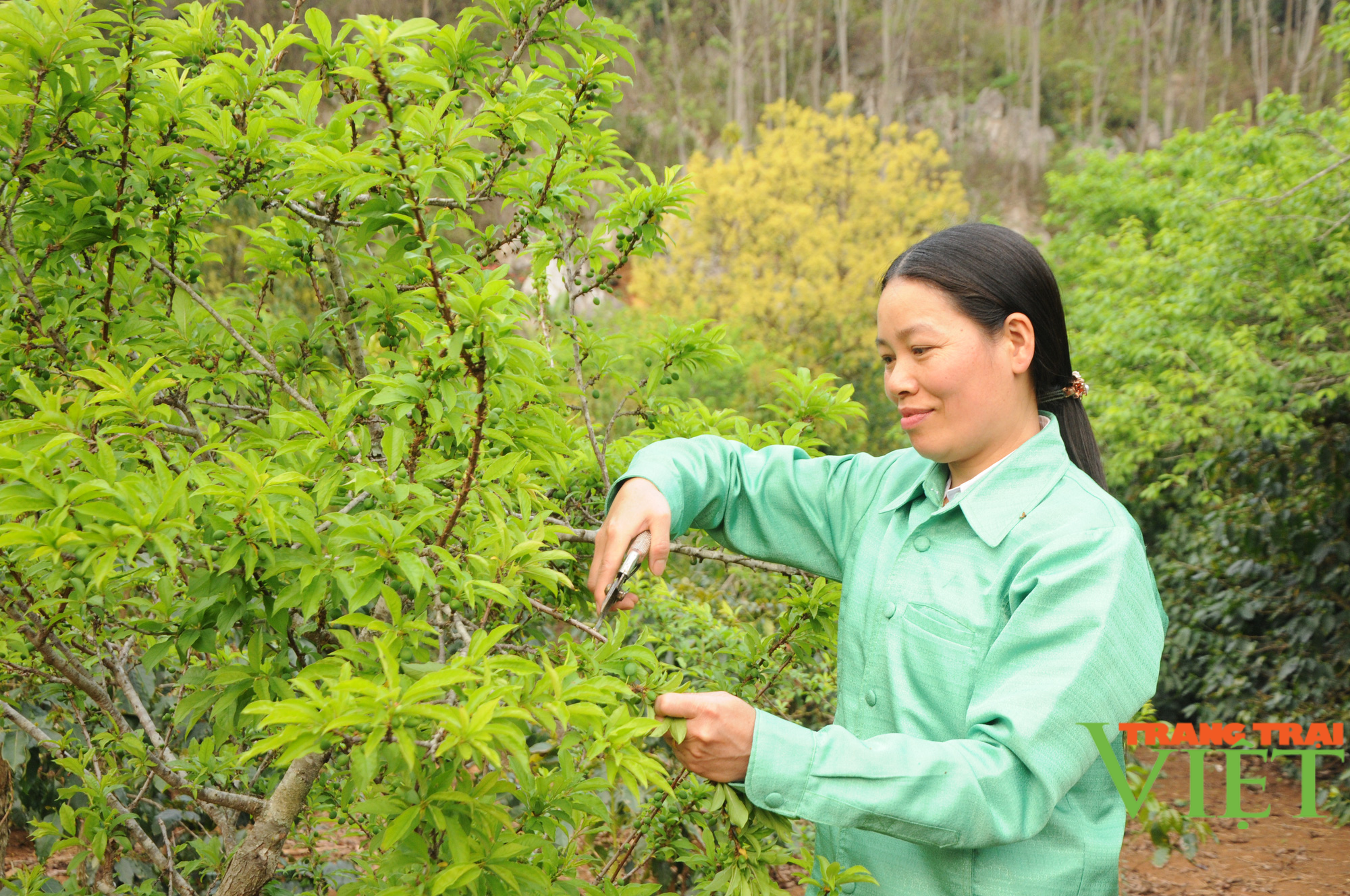 Chi Hội trưởng Hội phụ nữ tâm huyết với phong trào phụ nữ  - Ảnh 4.