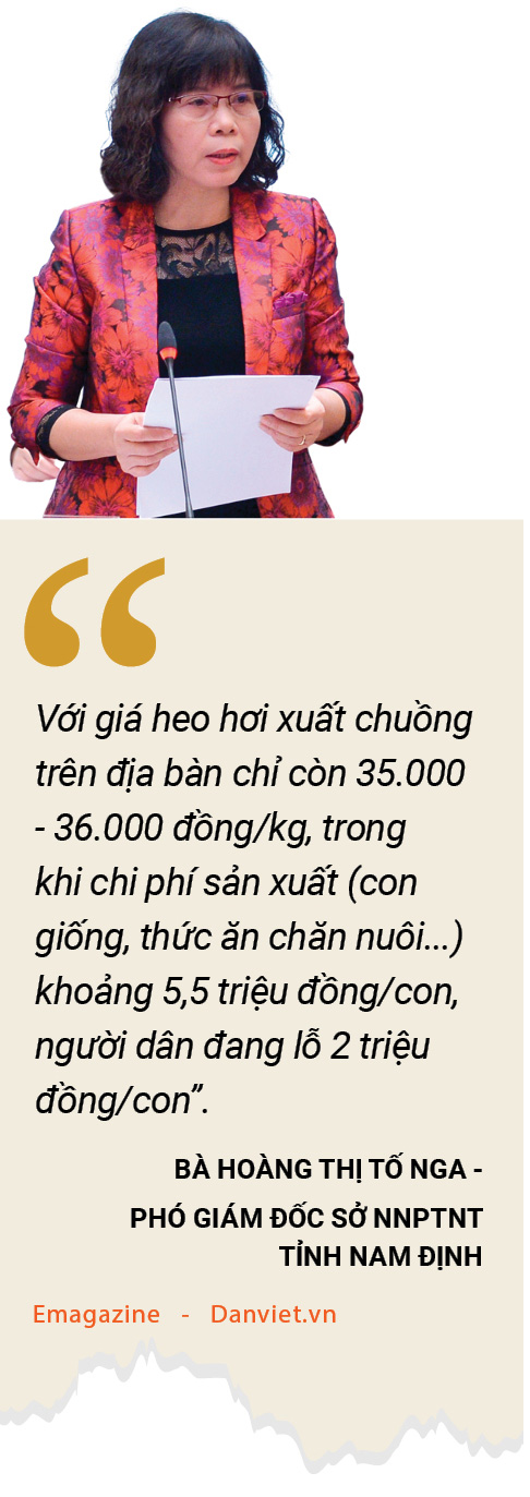 Giá heo hơi lên, xuống thất thường: Vì sao? - Ảnh 6.