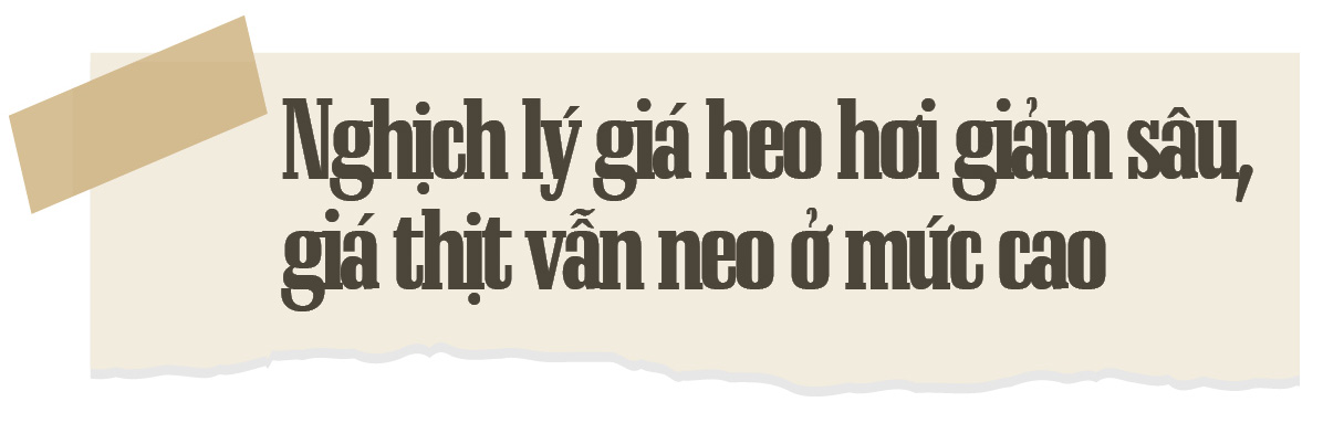 Giá heo hơi lên, xuống thất thường: Vì sao? - Ảnh 13.