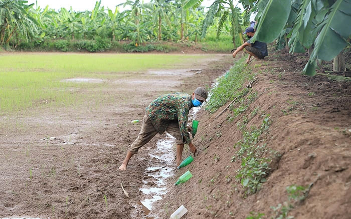 Hải Dương: "Lộc trời" đặc sản vô tình phát lộ ở đồng bỏ hoang, cả làng cùng hưởng