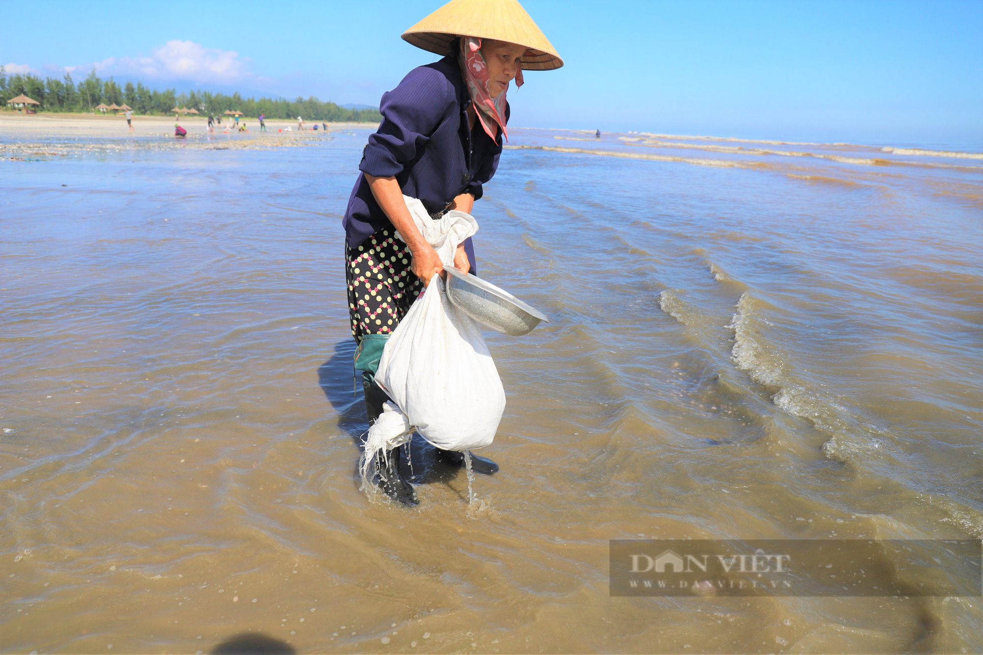 Clip - ảnh: Người dân (Hà Tĩnh) đổ xô ra biển nhặt sò lông, kiếm tiền triệu mỗi ngày - Ảnh 5.