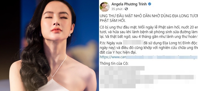 Đăng tải &quot;lợi ích của giun đất&quot; trong việc chữa trị ung thư, Angela Phương Trinh liệu có bị phạt? - Ảnh 1.