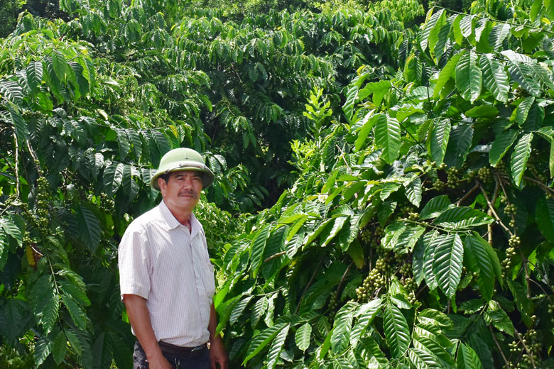 Lâm Đồng: Trang trại 40ha trồng những cây gì, nuôi những con gì mà ông nông dân cầm chắc lãi 10 tỷ năm 2021 - Ảnh 1.