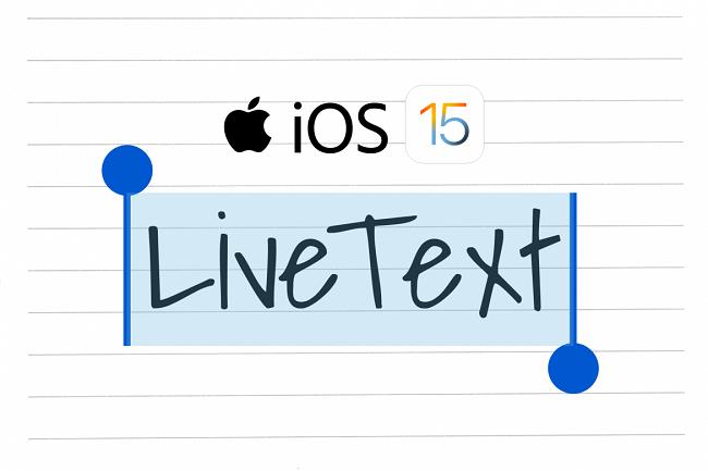 Cách sử dụng tính năng Live Text trên iOS 15 - Ảnh 1.