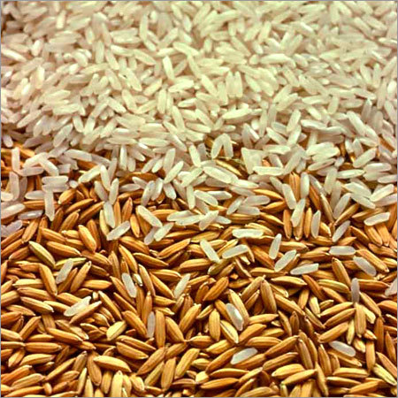 Giá gạo trong nước tăng, giá xuất khẩu giảm nhẹ - Ảnh 1.